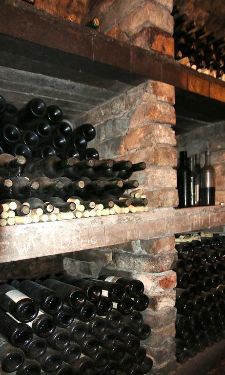 Penzion A Restaurace U Hroznu Velké Bílovice Zewnętrze zdjęcie